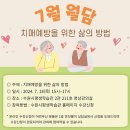 월담: 치매예방을 위한 삶의 방법 Daum카페
