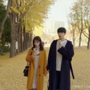 윤지패션