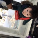 용인대스카이태권도 이미지