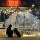 댕댕빌리지 이미지