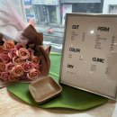 리틀살롱 이미지