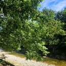 밤골야영장 이미지