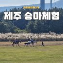 가시리 | 제주도 승마체험 가시리 조랑말 체험공원
