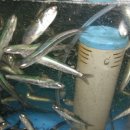 바닷가횟집 이미지