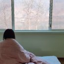 온정목장 이미지