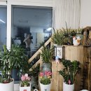 송준, 국군복지단(군마트) 이미지