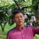 순금농장 이미지