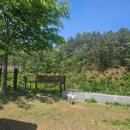 위천수변테마파크 화장실 | 대구 군위 '위천수변테마파크 야영장' 나-31, 애견동반캠핑장🏕