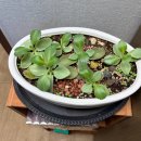 동방재활근로복지관 이미지