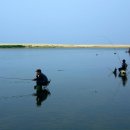 왕피천공원(동쪽) 이미지