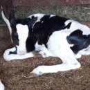 꿈나래유치원 이미지