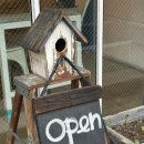 목포 일층cafe 내돈내산 후기