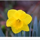 서산농장 이미지