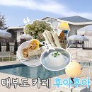 대부도 오션뷰 카페 추천 감성 포토존 가득한 후아후아 다녀온 후기