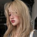 세라헤어라인 이미지