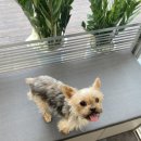 재영 동물병원 이미지