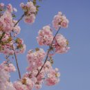 하남체육공원 이미지