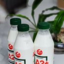협동조합 양지마실 건강체험 | 우리 아기 생우유는 서울우유A2+(서울우유A2플러스) 온 가족이 맛있어해요!