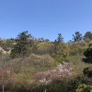 압구정앤의원 이미지