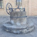 비야농장 이미지