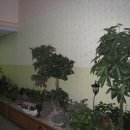 서울보라매초등학교 이미지