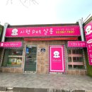 시현펫살롱