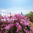 황매산등산로 | [합천] 황매산 철쭉 실시간 개화 현황 / 황매산 철쭉축제