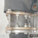 한국이엘에스