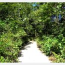 탑골마을 이미지