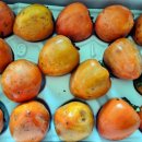 상덕농장 이미지