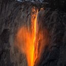 (주)캘리포니아폴스 이미지