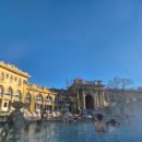 어부민박 | 동유럽여행 [251223~260105] Day8 : 헝가리 부다페스트 세체니온천 / 부다성 / 어부의 요새