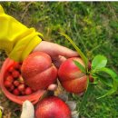 거북농장 이미지