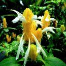 황금휴게실 이미지