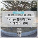 낭산상회 | 영암기찬랜드 가야금산조테마파크와 한국트로트가요센터의 즐길거리