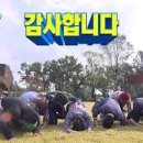 승달(애) 이미지