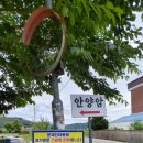 문재인대통령 생가 | [ 거제한달 살이, 숨쉼49] 거제의 시간 여행: 엄마의 바다 카페부터 문재인 생가, 옥산금산성까지