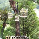 브로칸트 하우스 이미지