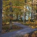 세탁쟁이 이미지