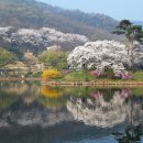 호암미술관 이미지