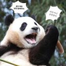 우주타운 이미지