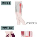 장경한의원 이미지