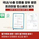 수출 농산물 | 내 농산물 사업이 망한것 같다고 느꼈을 때