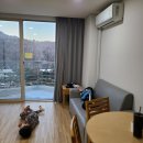 [24/25시즌] 휘닉스파크 오렌지동 20평 스탠다드객실 후기_모바일체크인/룸컨디션/전망/취사/온돌/세탁실