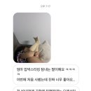 주식회사 알딩 이미지