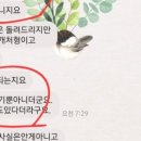 다린디자인