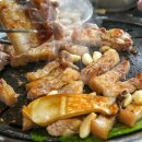 소랑돼지랑 이미지