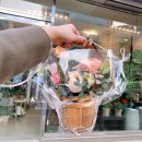 하대동379 | 진주 하대동 꽃집 예쁜 꽃바구니 꽃다발 꽃선물은 여기, DD'L 뜰 :)