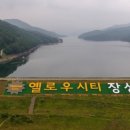 옐로우게이트1