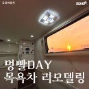 멍품유치원 | 창원 대형견 출장 목욕 [ 멍빨DAY ] 시간이 멈춘 듯한 하루, 둥이의 마지막 샴푸 향기 🌸 15살 진도 믹스...